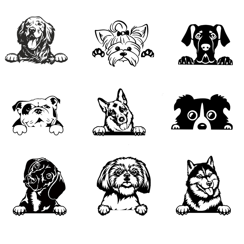 車 Accessorie デカールおかしい犬名車デカール犬ペ - Laptop Accessories And Gadgets のレビューと価格