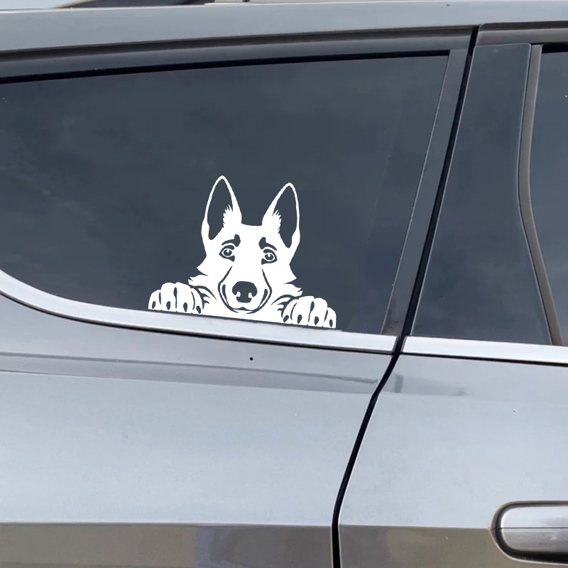 車 Accessorie デカールおかしい犬名車デカール犬ペ - Laptop Accessories And Gadgets のレビューと価格